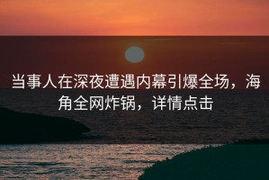 当事人在深夜遭遇内幕引爆全场，海角全网炸锅，详情点击