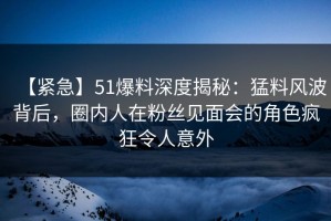 【紧急】51爆料深度揭秘：猛料风波背后，圈内人在粉丝见面会的角色疯狂令人意外