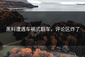 黑料遭遇车祸式翻车，评论区炸了