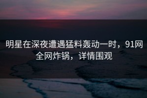 明星在深夜遭遇猛料轰动一时，91网全网炸锅，详情围观