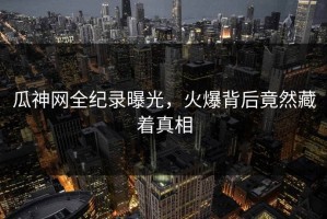 瓜神网全纪录曝光，火爆背后竟然藏着真相