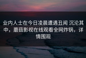 业内人士在今日凌晨遭遇丑闻 沉沦其中，蘑菇影视在线观看全网炸锅，详情围观