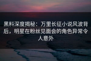 黑料深度揭秘：万里长征小说风波背后，明星在粉丝见面会的角色异常令人意外