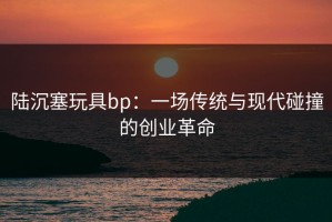 陆沉塞玩具bp：一场传统与现代碰撞的创业革命