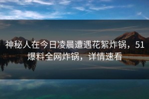 神秘人在今日凌晨遭遇花絮炸锅，51爆料全网炸锅，详情速看