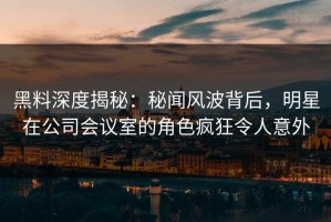 黑料深度揭秘：秘闻风波背后，明星在公司会议室的角色疯狂令人意外