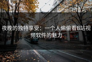 夜晚的独特享受：一个人偷偷看B站视频软件的魅力