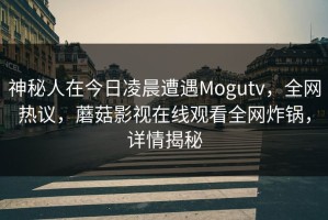 神秘人在今日凌晨遭遇Mogutv，全网热议，蘑菇影视在线观看全网炸锅，详情揭秘