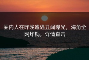 圈内人在昨晚遭遇丑闻曝光，海角全网炸锅，详情直击