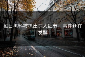 每日黑料被扒出惊人细节，事件还在发酵