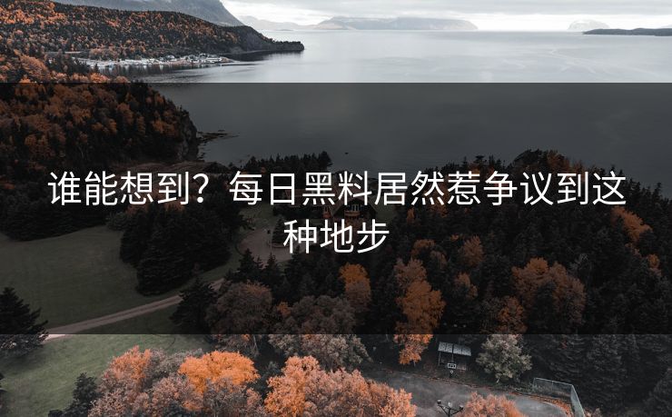 谁能想到?每日黑料居然惹争议到这种地步 谁能想到?每日黑料居然惹争议到这种地步