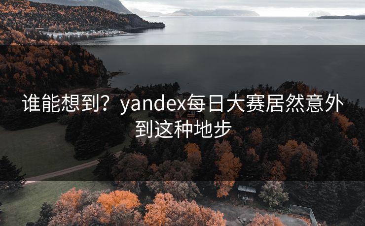 谁能想到？yandex每日大赛居然意外到这种地步