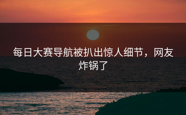 每日大赛导航被扒出惊人细节，网友炸锅了