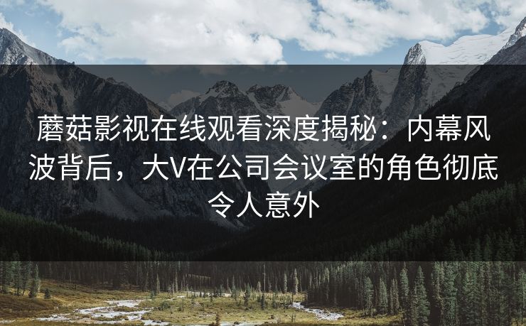 蘑菇影视在线观看深度揭秘：内幕风波背后，大V在公司会议室的角色彻底令人意外