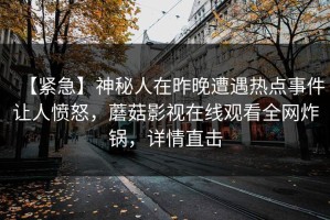 【紧急】神秘人在昨晚遭遇热点事件让人愤怒，蘑菇影视在线观看全网炸锅，详情直击
