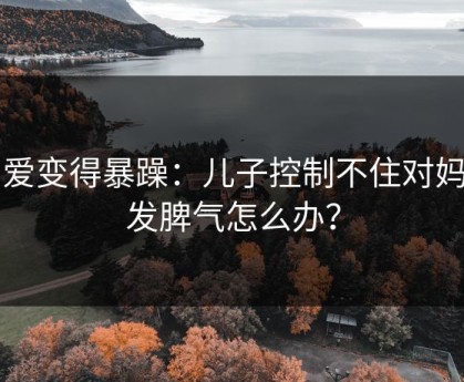 当爱变得暴躁：儿子控制不住对妈妈发脾气怎么办？