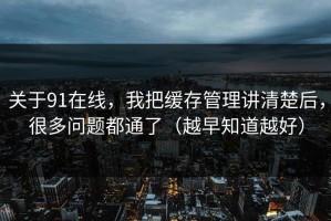 关于91在线，我把缓存管理讲清楚后，很多问题都通了（越早知道越好）