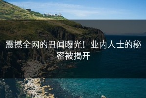 震撼全网的丑闻曝光！业内人士的秘密被揭开