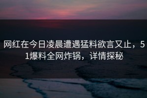网红在今日凌晨遭遇猛料欲言又止，51爆料全网炸锅，详情探秘