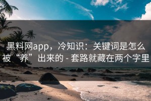 黑料网app，冷知识：关键词是怎么被“养”出来的 - 套路就藏在两个字里