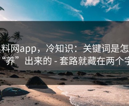 黑料网app，冷知识：关键词是怎么被“养”出来的 - 套路就藏在两个字里