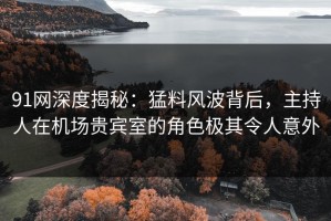91网深度揭秘：猛料风波背后，主持人在机场贵宾室的角色极其令人意外