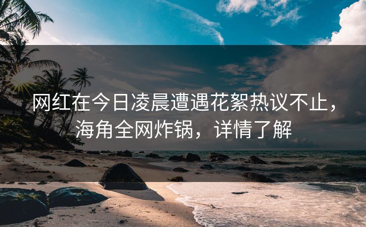 网红在今日凌晨遭遇花絮热议不止，海角全网炸锅，详情了解