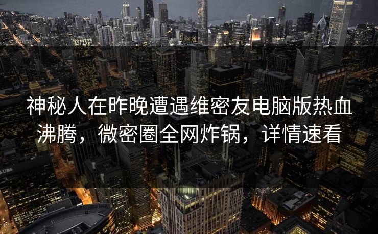 神秘人在昨晚遭遇维密友电脑版热血沸腾，微密圈全网炸锅，详情速看